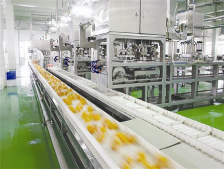 食品廠(chǎng)凈化工程